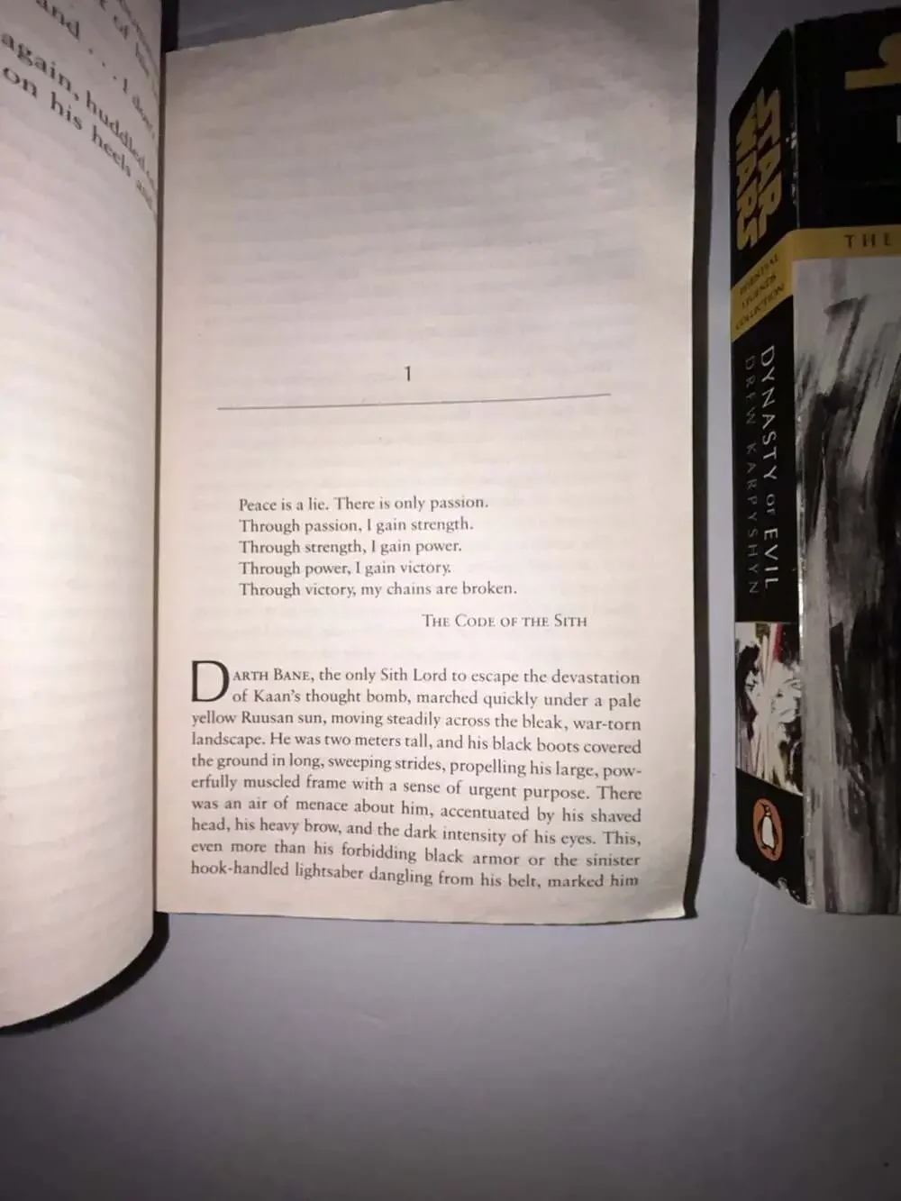 Star Wars: The Darth Bane Trilogy (Path of Destruction, Rule of Two, Dynasty of